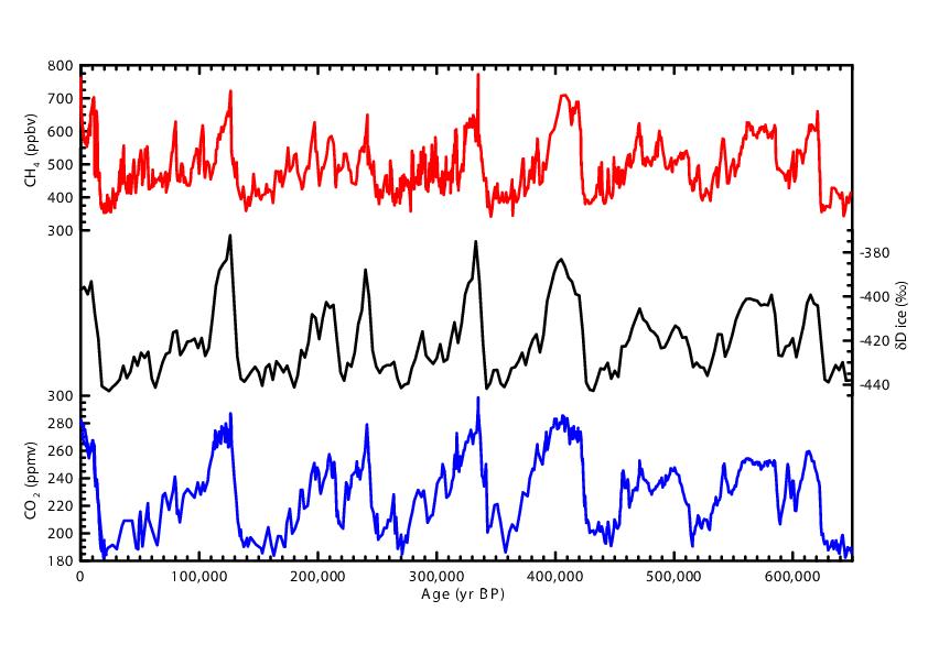 CO2 concentrations